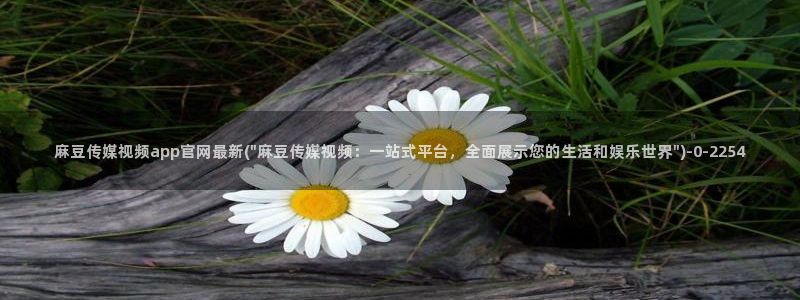 麻豆视频 短片完整版：麻豆传媒视频app官网最新(\