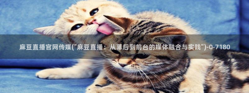 麻豆视频下载高清：麻豆直播官网传媒(\