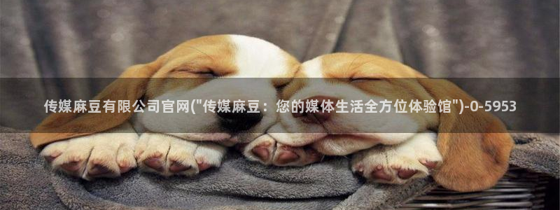 麻豆精选最新：传媒麻豆有限公司官网(\