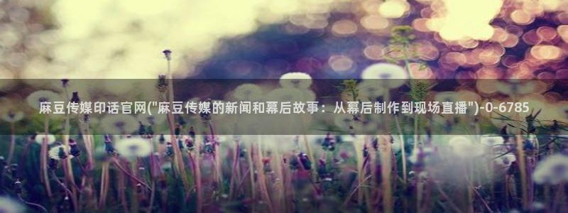 麻豆视频 推荐高清：麻豆传媒印话官网(\