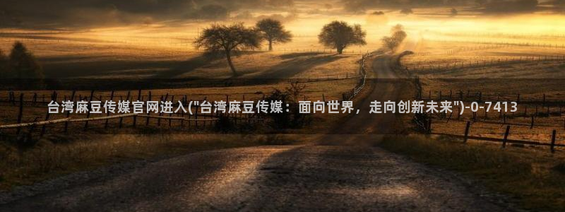麻豆精选导航：台湾麻豆传媒官网进入(\