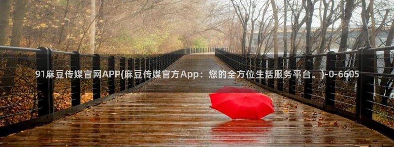 麻豆视频高清高清：91麻豆传媒官网APP(麻豆传媒官
