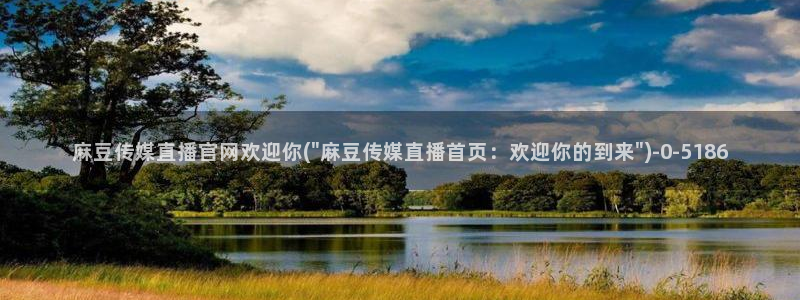 麻豆视频 下载整理：麻豆传媒直播官网欢迎你(\