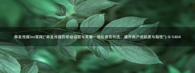 麻豆视频 精选完整版：麻豆传媒ios官网(\