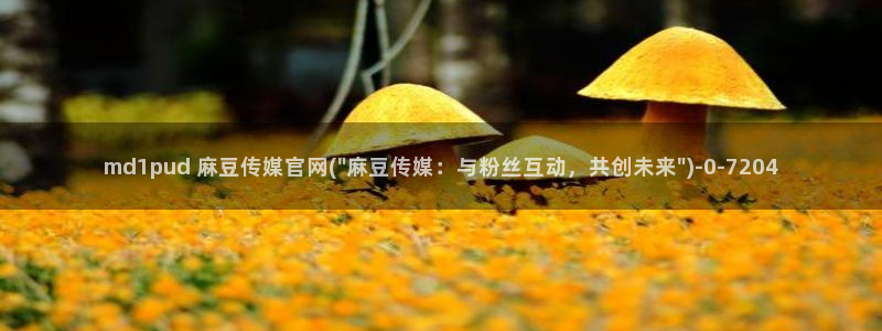 麻豆合集整理：md1pud 麻豆传媒官网(\