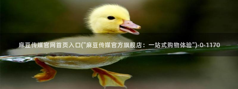 麻豆视频资源入口：麻豆传媒官网首页入口(\