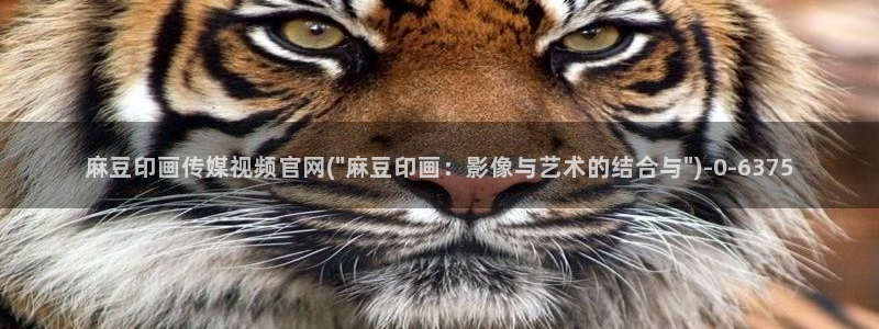 麻豆视频 精选专区：麻豆印画传媒视频官网(\
