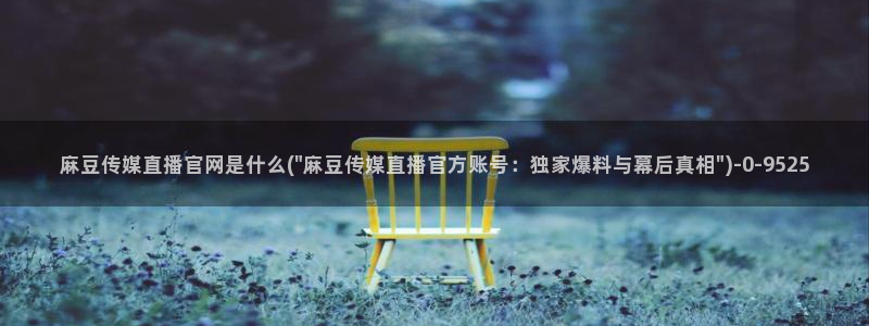 麻豆视频 短片完整版：麻豆传媒直播官网是什么(\
