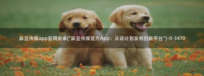 麻豆视频 入口页面：麻豆传媒app官网安卓(\