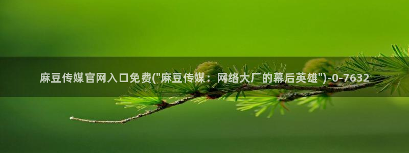麻豆视频更新高清：麻豆传媒官网入口免费(\