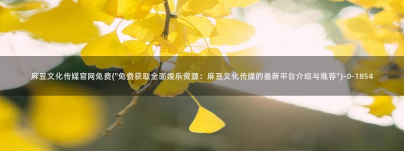 麻豆视频 推荐资源：麻豆文化传媒官网免费(\