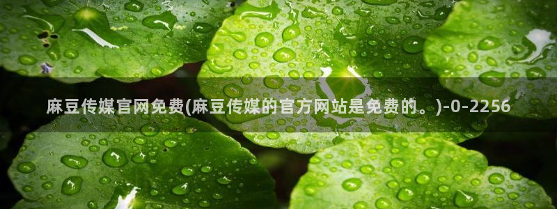 麻豆视频 内容在线看：麻豆传媒官网免费(麻豆传媒的官方网站是免费的。)
