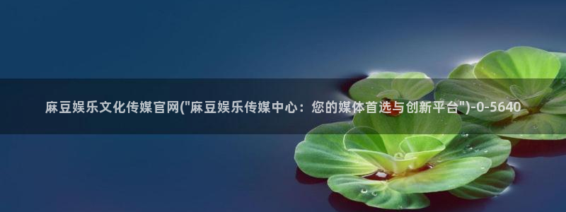 麻豆视频 短片最新：麻豆娱乐文化传媒官网(\