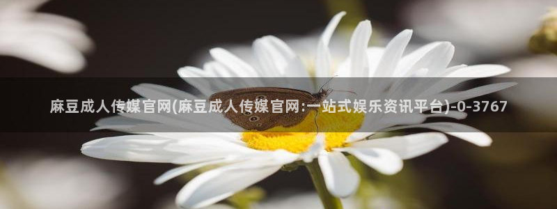 麻豆视频入口视频：麻豆成人传媒官网(麻豆成人传媒官网:一