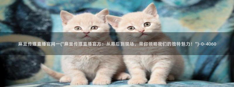 麻豆视频下载高清：麻豆传媒直播官网一(\