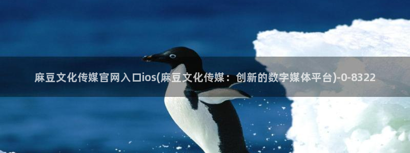 麻豆视频合集资源